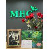 Tranh để bàn Nano Kháng Khuẩn  KT22x28